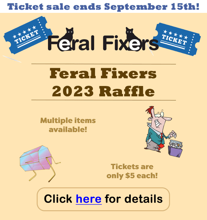 Adoption Questionnaire